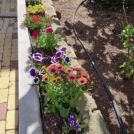 Comfortable Rustic House With Spacious Garden Near The * Figueira da Foz