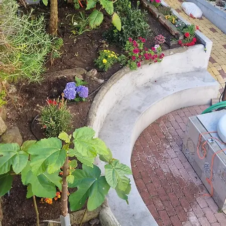 Comfortable Rustic House With Spacious Garden Near The * Figueira da Foz