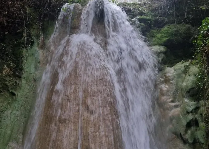 Comfortable Rustic House With Spacious Garden Near The ヴィラ フィゲイラ・ダ・フォズ