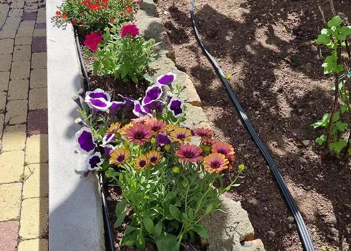 Comfortable Rustic House With Spacious Garden Near The * フィゲイラ・ダ・フォズ